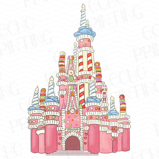 DSNG 211