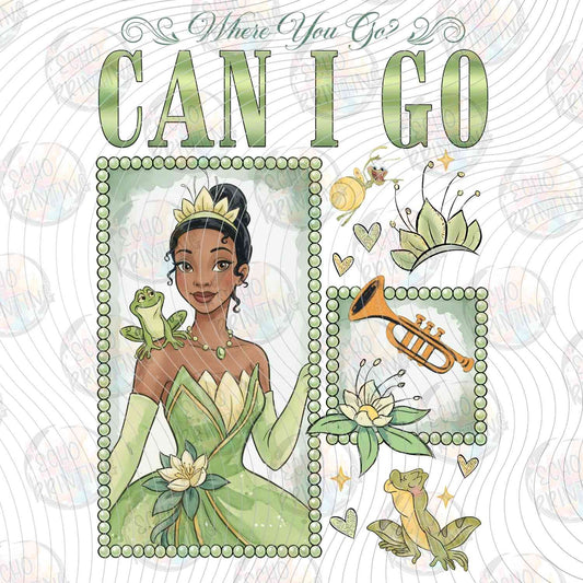 DSN 697 - GREEN DRESS PRINCESS WITH FROG