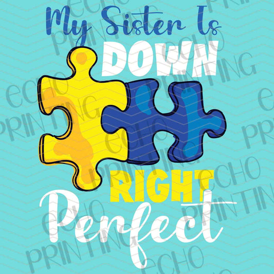 DWSN 103 – DOWN RIGHT PERFECT PUZZLE