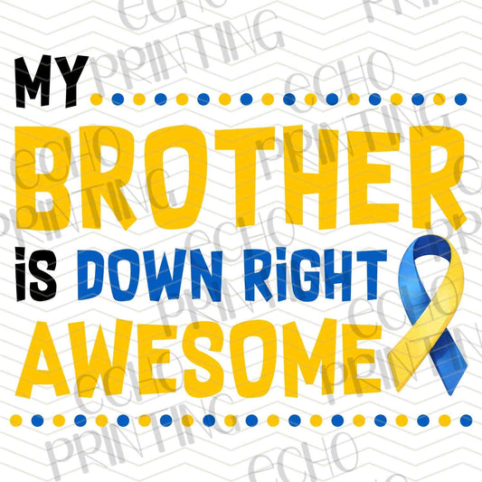 DWSN 49 – MY BROTHER IS DOWN RIGHT AWESOME