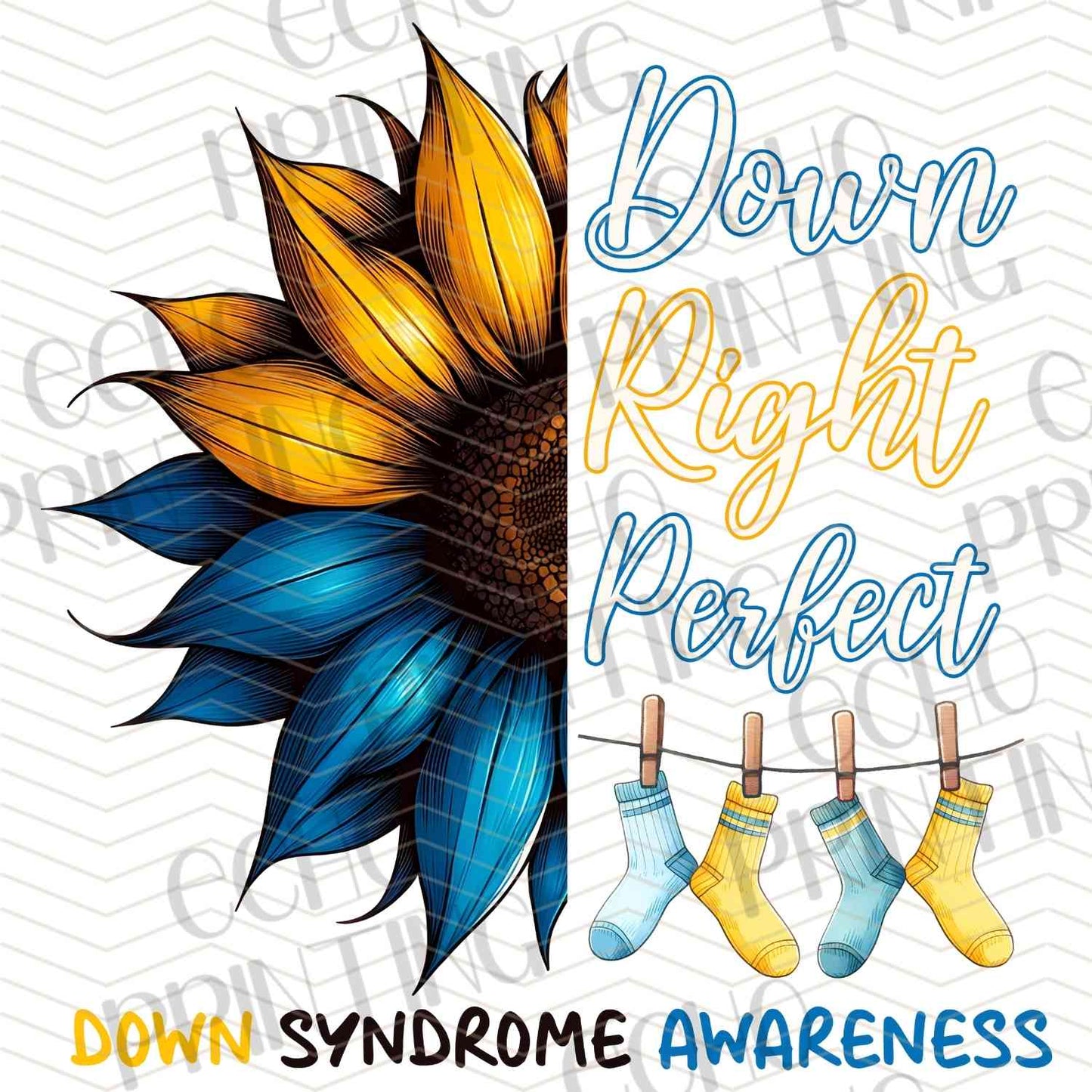 DWSN 58 – DOWN RIGHT PERFECT SUNFLOWER