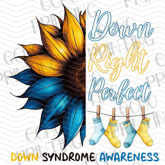 DWSN 58 – DOWN RIGHT PERFECT SUNFLOWER