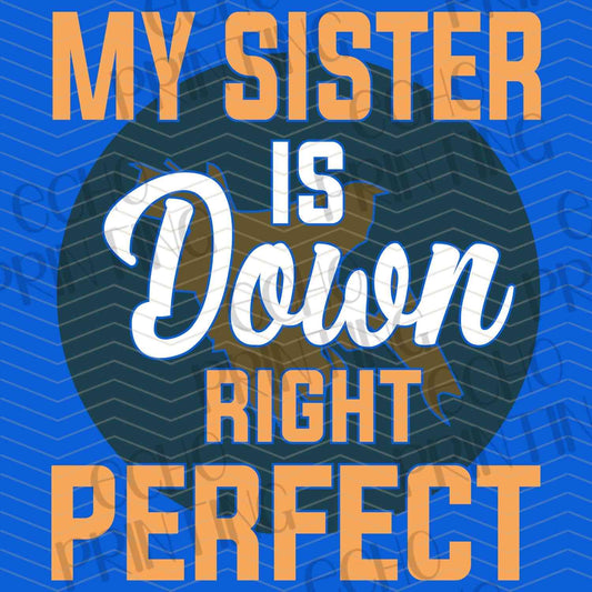 DWSN 86 – MY SISTER IS DOWN RIGHT PERFECT