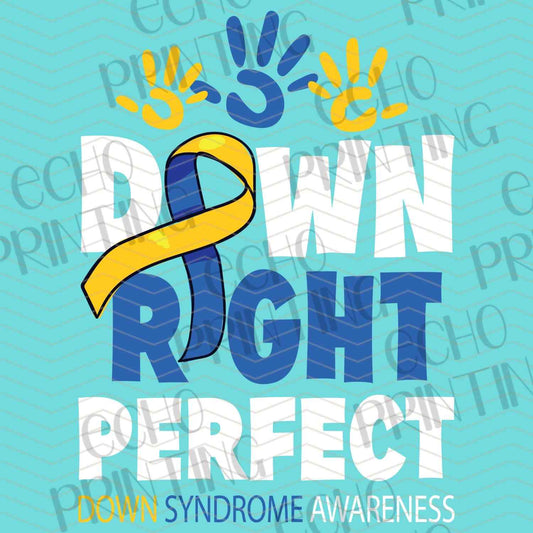 DWSN 94 – DOWN RIGHT PERFECT