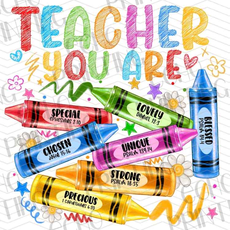 EDCTR 499 - TEACHER YOU ARE COLORFUL MARKERS