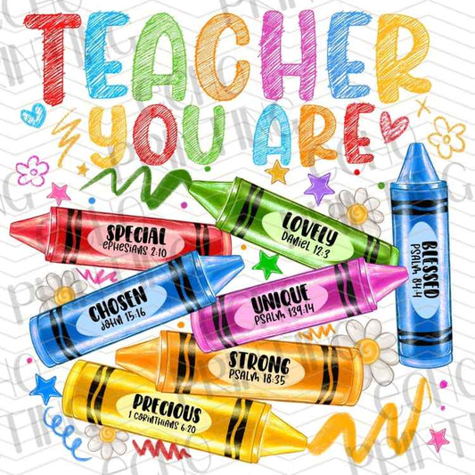EDCTR 499 - TEACHER YOU ARE COLORFUL MARKERS