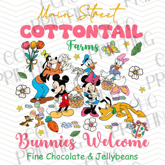 ESTRC 187 - COTTONTAIL FRIENDS