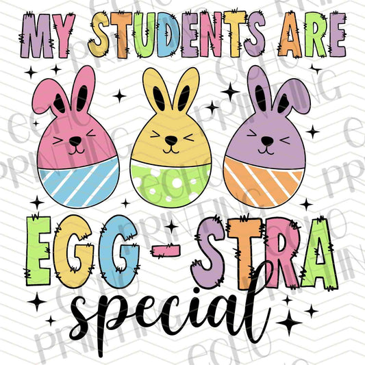 ESTRG 148 - EGG STRA SPECIAL STUDENTS