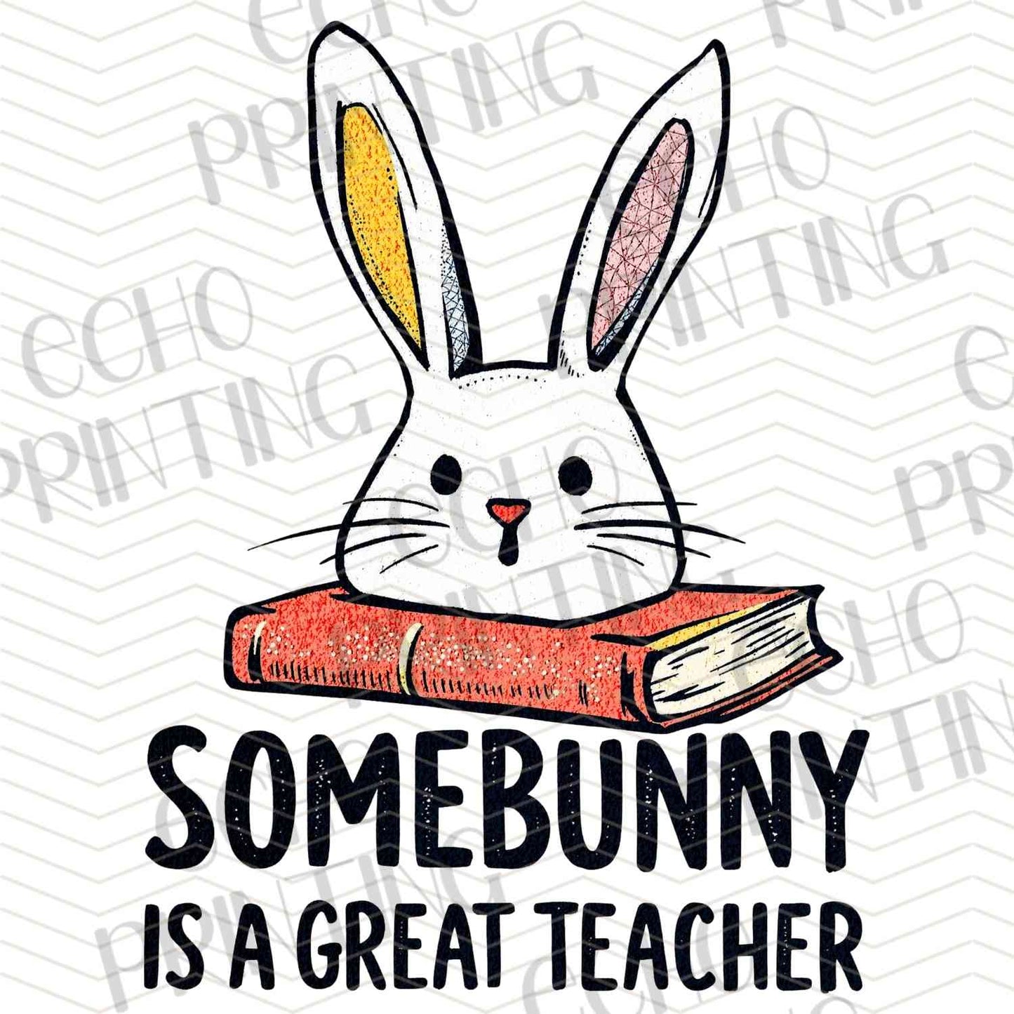 ESTRG 14 - READING BUNNY TEACHER