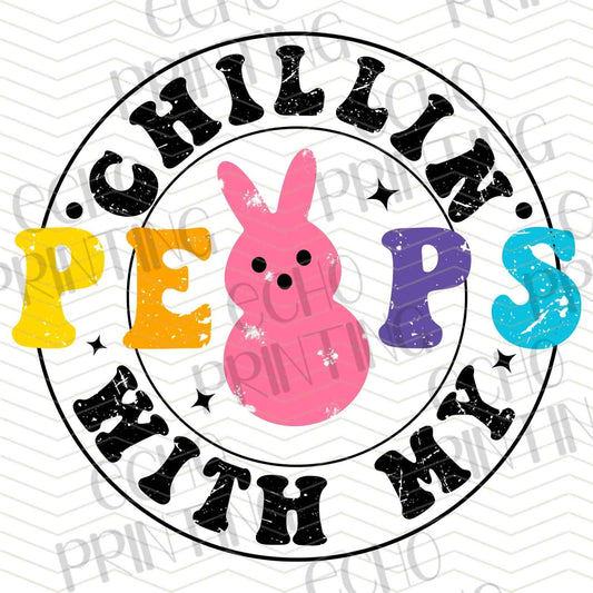 ESTRG 351 – CHILLIN WITH MY CHICKS