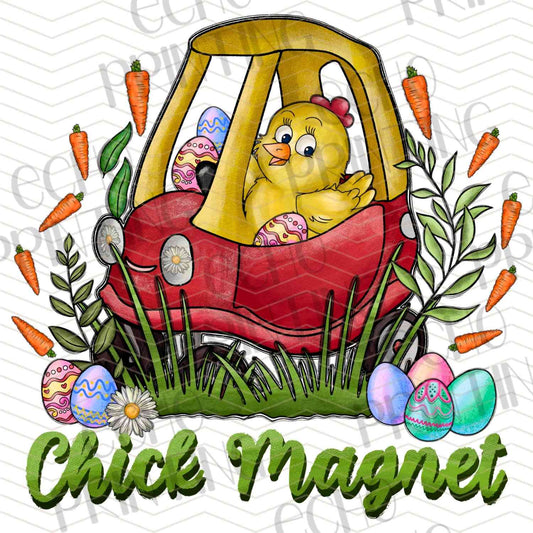 ESTRG 603 - CHICK MAGNET