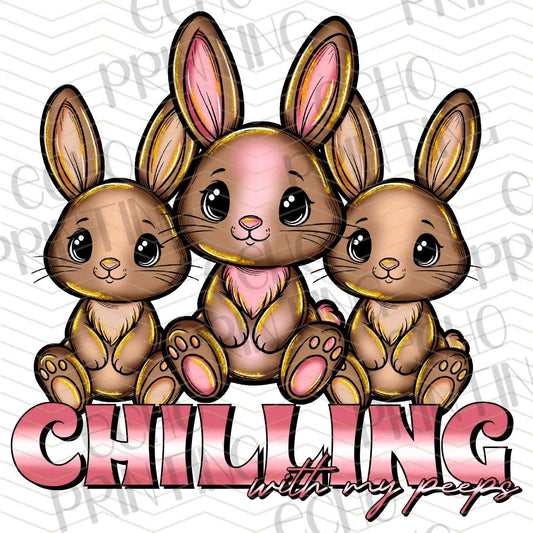 ESTRG 62 - CHILLING BUNNIES
