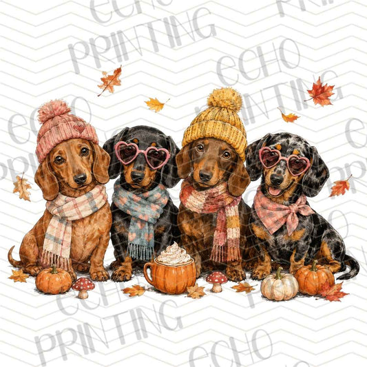 FLTK 1105 - AUTUMN DOG FRIENDS GROUP