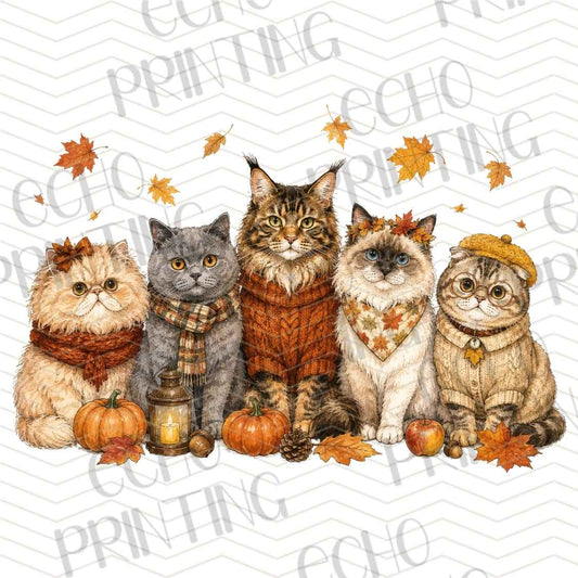 FLTK 1106 - AUTUMN CATS FRIENDS GROUP