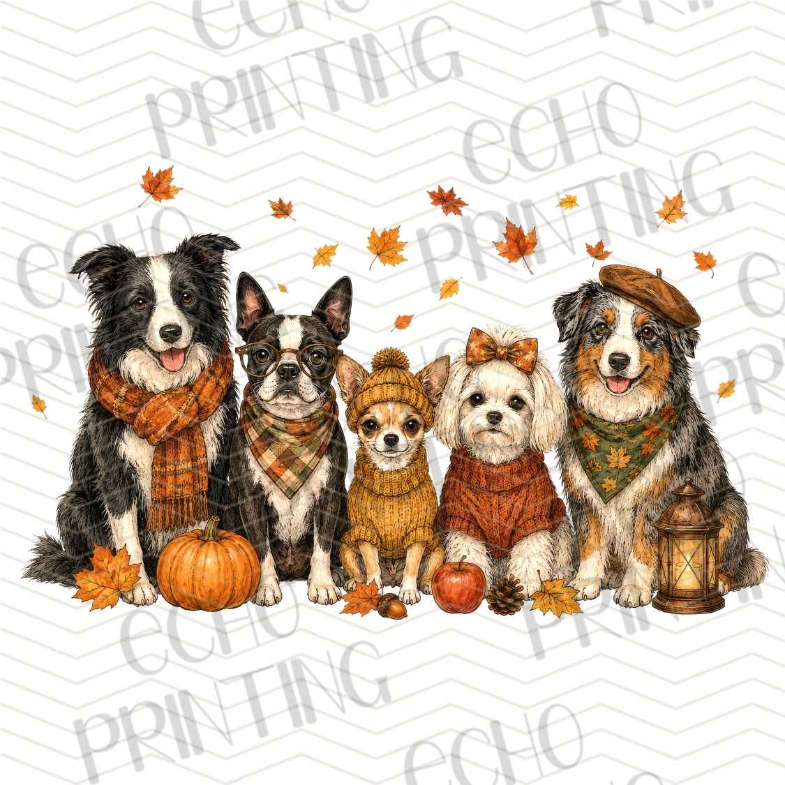 FLTK 1107 - AUTUMN PETS GROUP COLLAGE