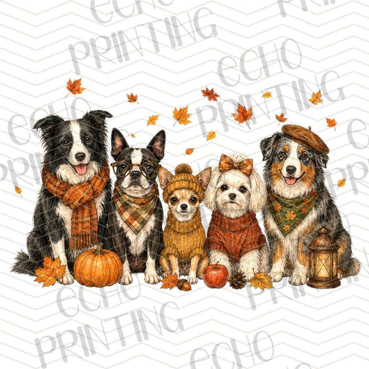 FLTK 1107 - AUTUMN PETS GROUP COLLAGE