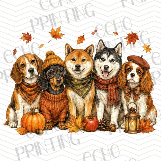 FLTK 1108 - SWEATER WEATHER DOGS STYLE