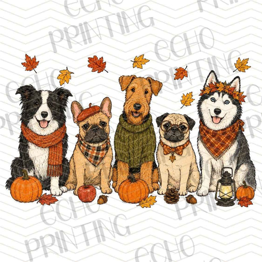 FLTK 1109 - FALL PETS AUTUMN STYLE