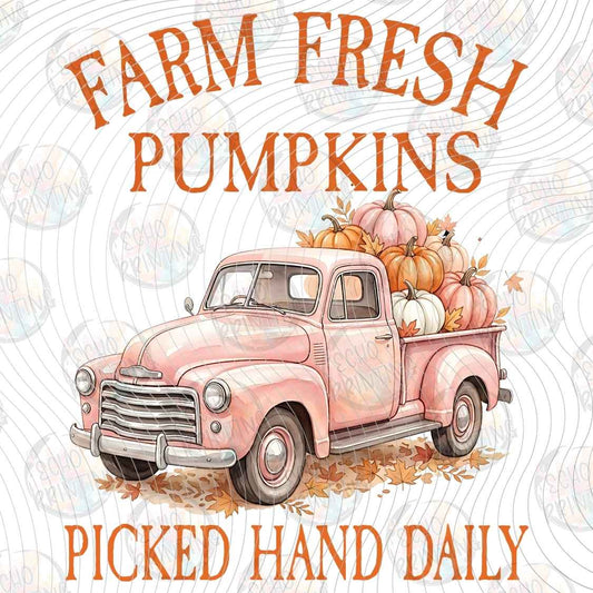 FLTK 1227 - FARM FRESH PUMPKINS
