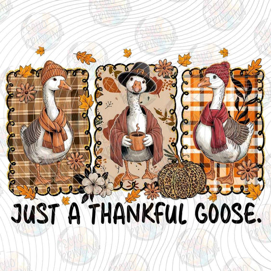 FLTK 1403 - JUST A THANKFUL GOOSE