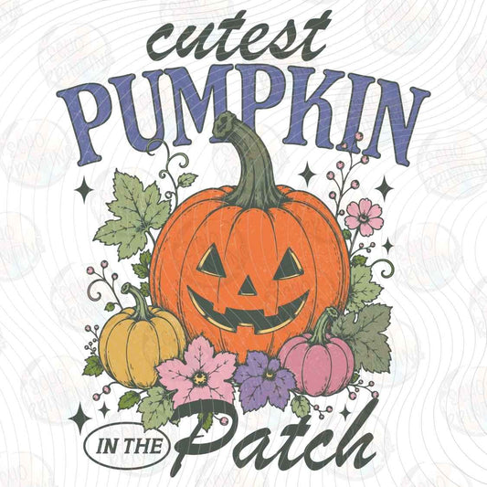 FLTK 1416 - CUTEST PUMPKIN PATCH