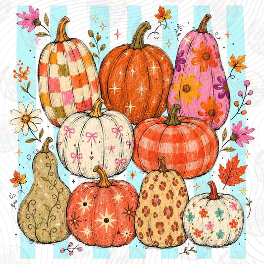 FLTK 1423 - COLORFUL PUMPKIN COLLECTION