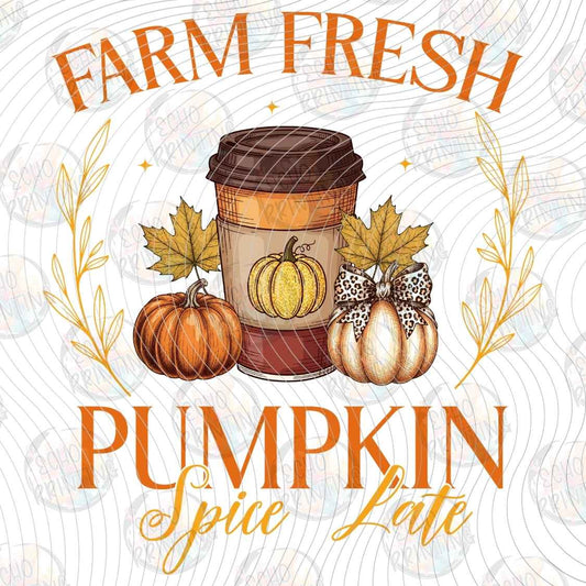 FLTK 1562 - FARM FRESH PUMPKIN PIE