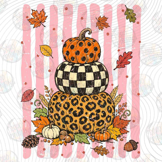 FLTK 1597 - LEOPARD PUMPKIN STACK