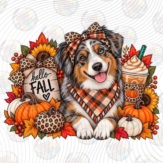 FLTK 1838 - FALL AUSSIE DOG