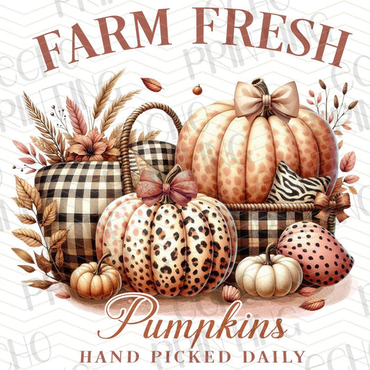 FLTK 23 – FARM FRESH PLAID PUMPKINS