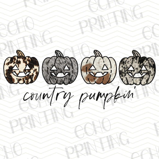 FLTK 256 – COUNTRY PUMPKIN FARMHOUSE