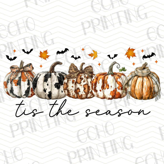 FLTK 258 – TIS THE SEASON FALL PUMPKINS