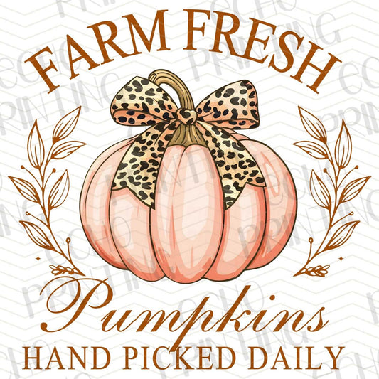 FLTK 273 – FARM FRESH PUMPKINS HAND PICKED DAILY
