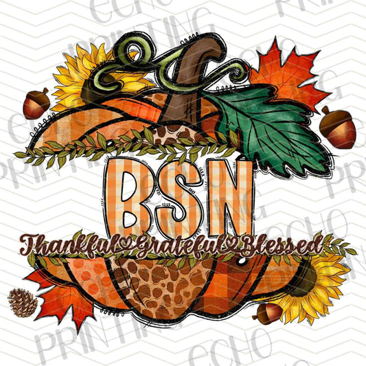FLTK 438 – BSN FALL PUMPKIN BADGE