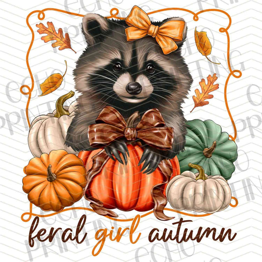 FLTK 495 - FALL RACCOON AUTUMN VIBE