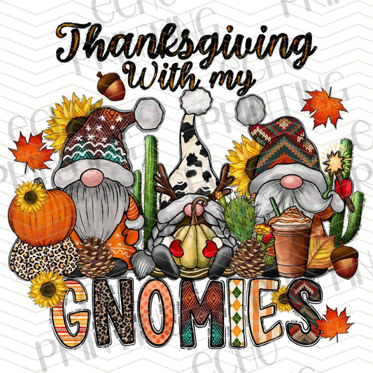 FLTK 560 - THANKSGIVING WITH MY GNOMES