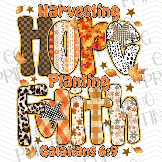 FLTK 879 - HARVESTING JOY PLANTING FAITH