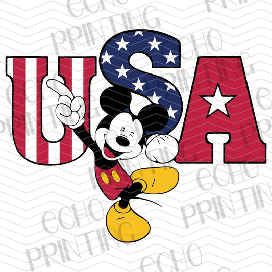 FOJC 28 - USA MOUSE CHARACTER