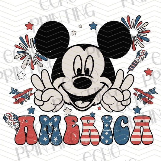 FOJC 29 - AMERICA MOUSE CHARACTER