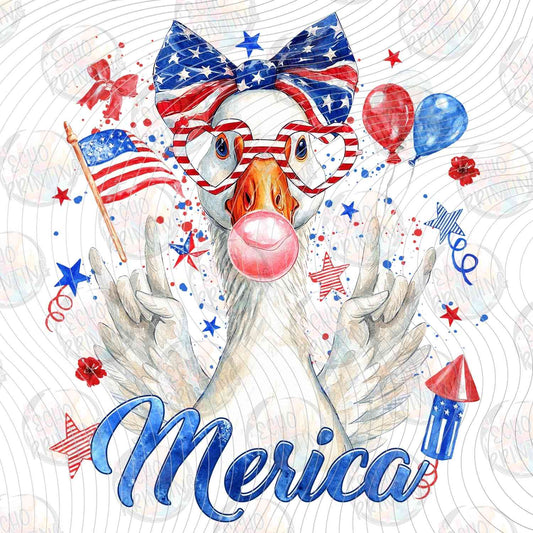 FOJG 1003 - AMERICA BOW