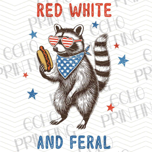 FOJG 10 - RED WHITE AND FERAL RACCOON