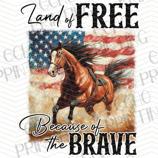 FOJG 138 - LAND OF THE FREE HORSE