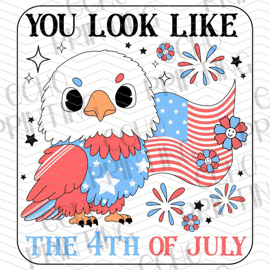 FOJG 174 - 4TH OF JULY OWL