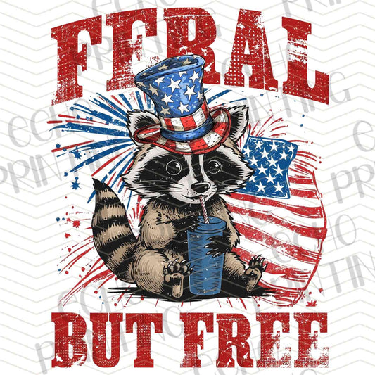 FOJG 191 - FERAL BUT FREE RACCOON