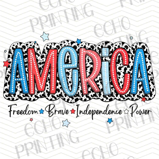 FOJG 255 - AMERICA SCRIPT