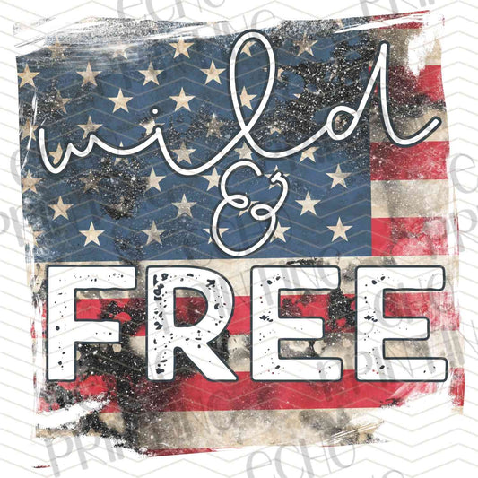 FOJG 286 - FREE VINTAGE FLAG