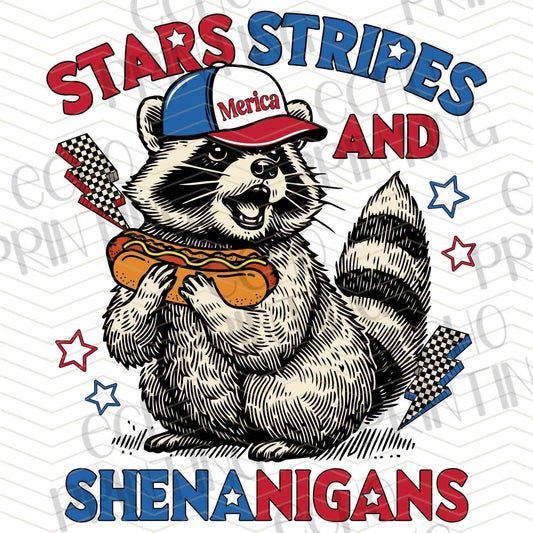 FOJG 310 - STARS STRIPES SHENANIGANS