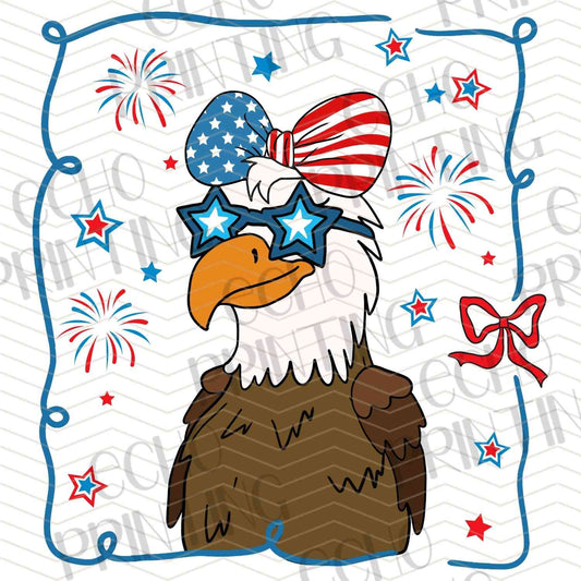 FOJG 358 - EAGLE FIREWORK FRAME
