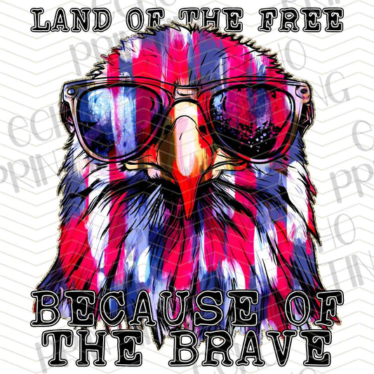 FOJG 366 - FREEDOM BECAUSE BRAVE