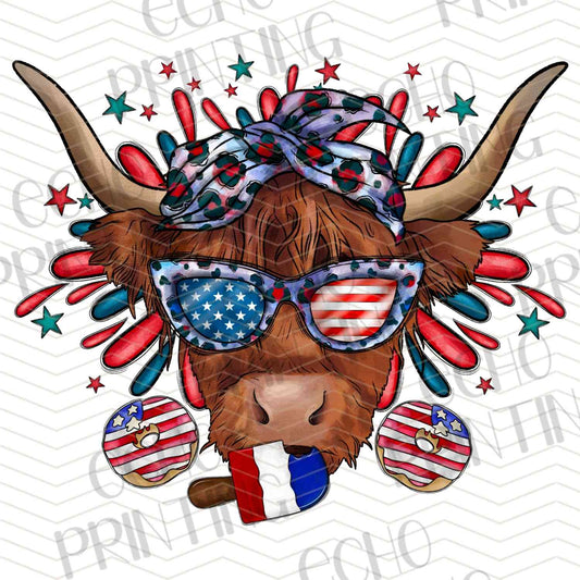 FOJG 462 - PATRIOTIC LONGHORN